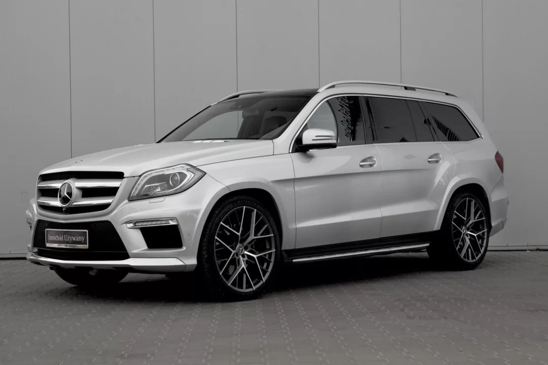 500, AMG Line, Salon Polska